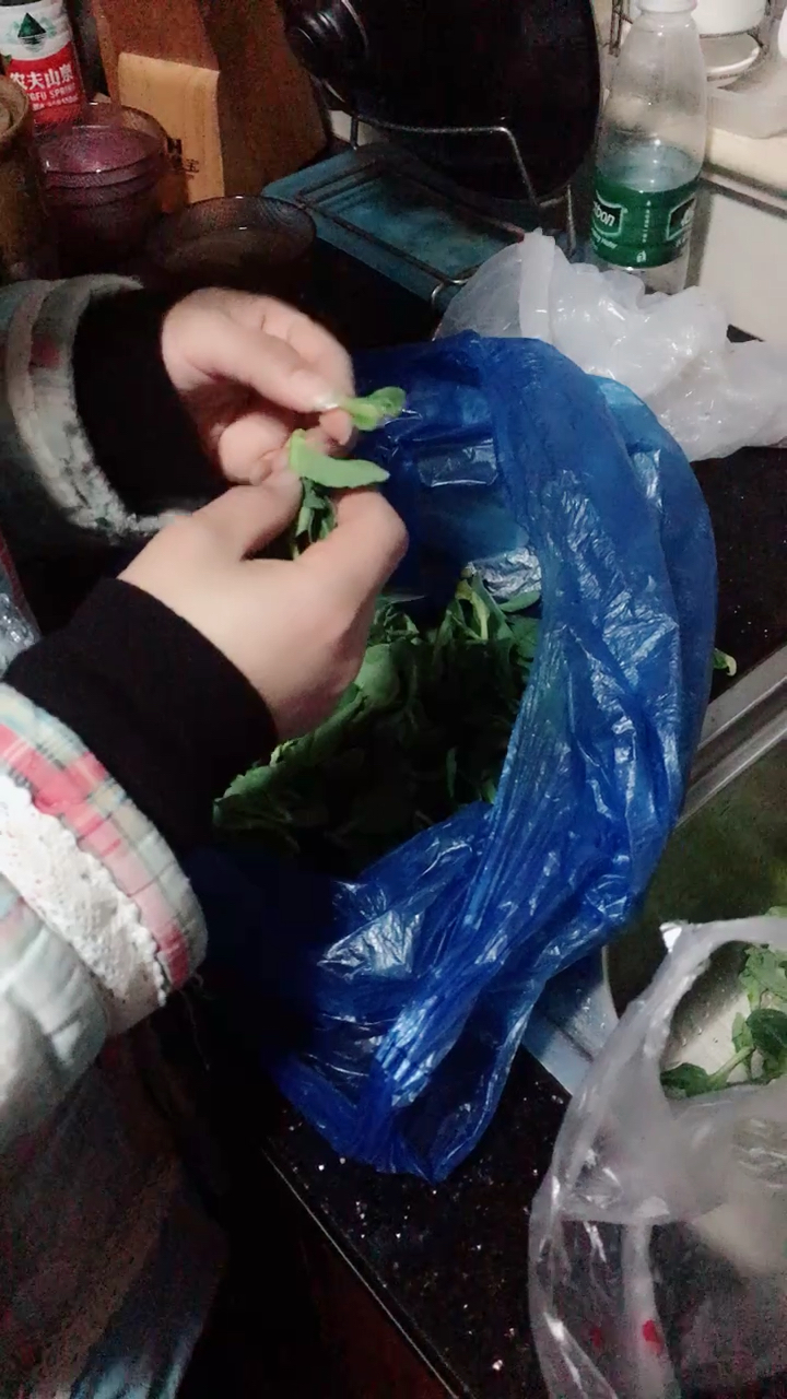 小青菜
