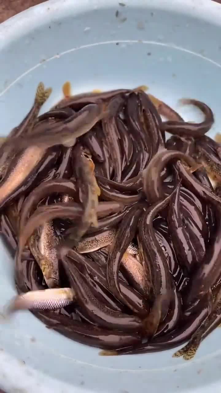 小河鱼的做法