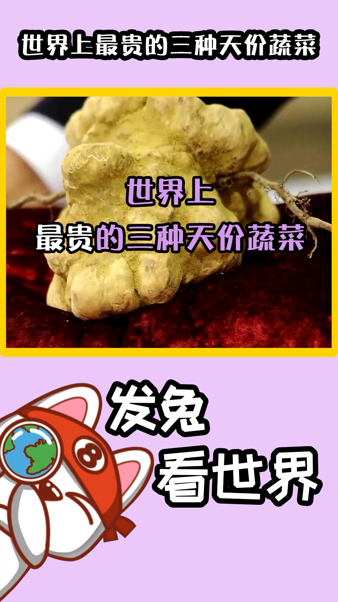 只有看的份,这三种蔬菜价格超贵,最高可达66.6万元,完全买不起啊 