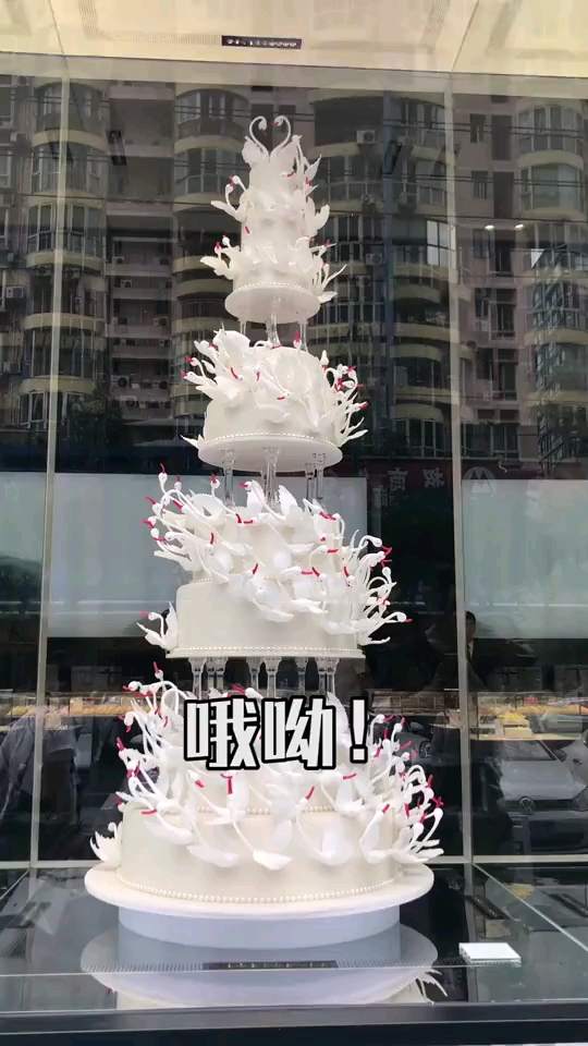#探店美食#还愁找不到地方订做生日蛋糕吗?这家店绝对是首选