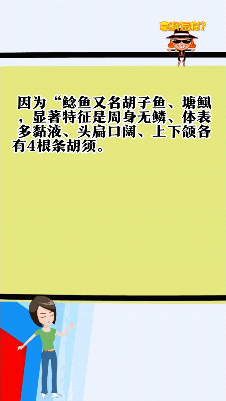 请问鲶鱼是什么梗呢?