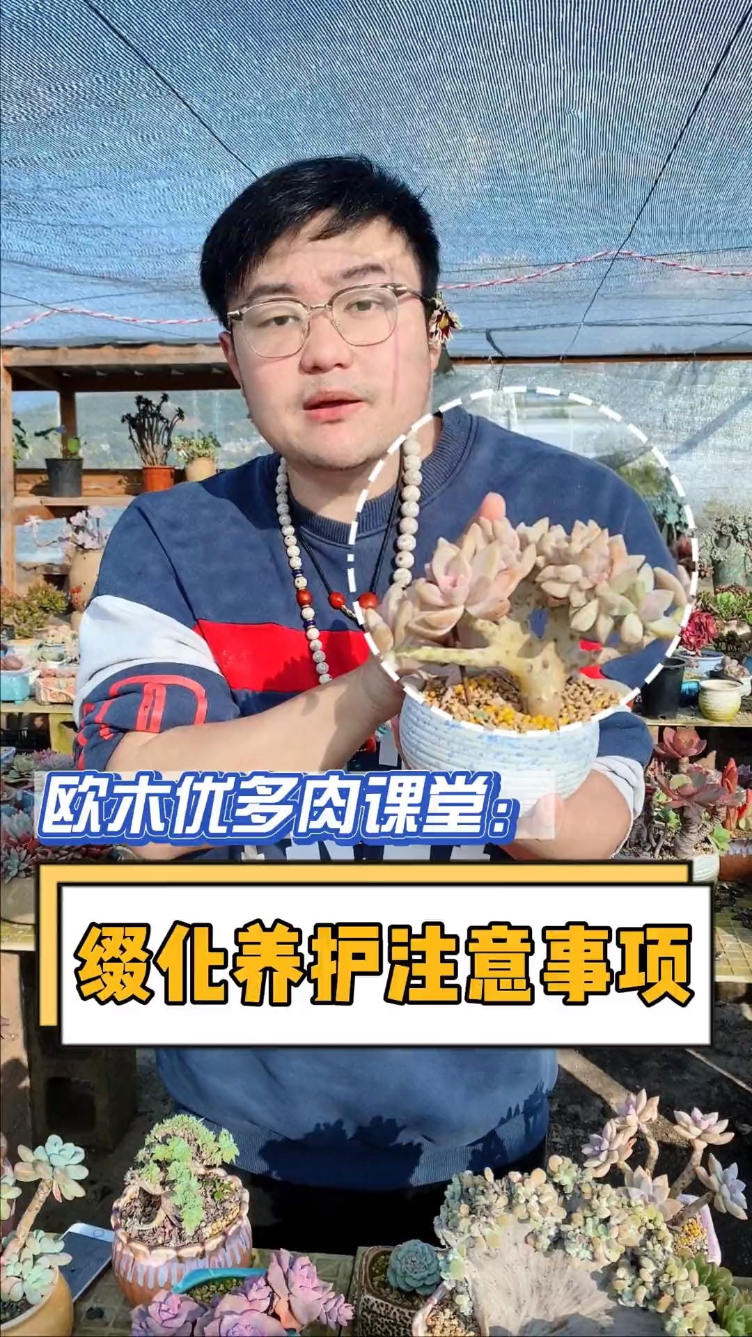 多肉植物缀化需要注意哪些问题呢?这个视频告诉你#多肉 #多肉植物 #