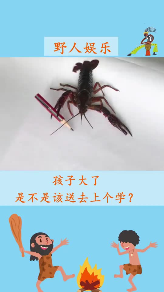 【野人娱乐】孩子大了,是不是该送去上个学?
