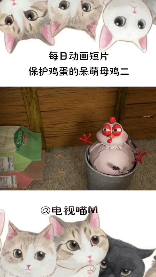 好呆萌的母鸡啊