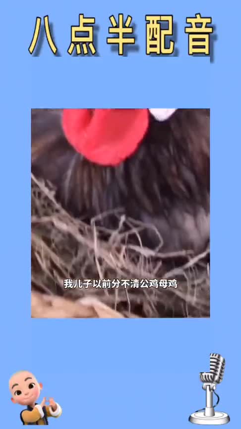 教孩子认公母鸡,鸡遭罪了