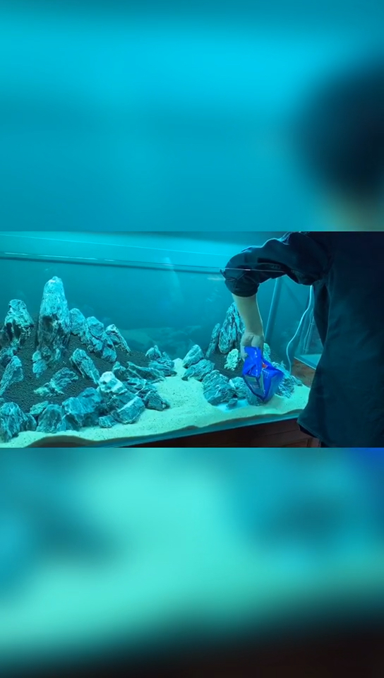 酸洗的青龙石鱼缸造景
