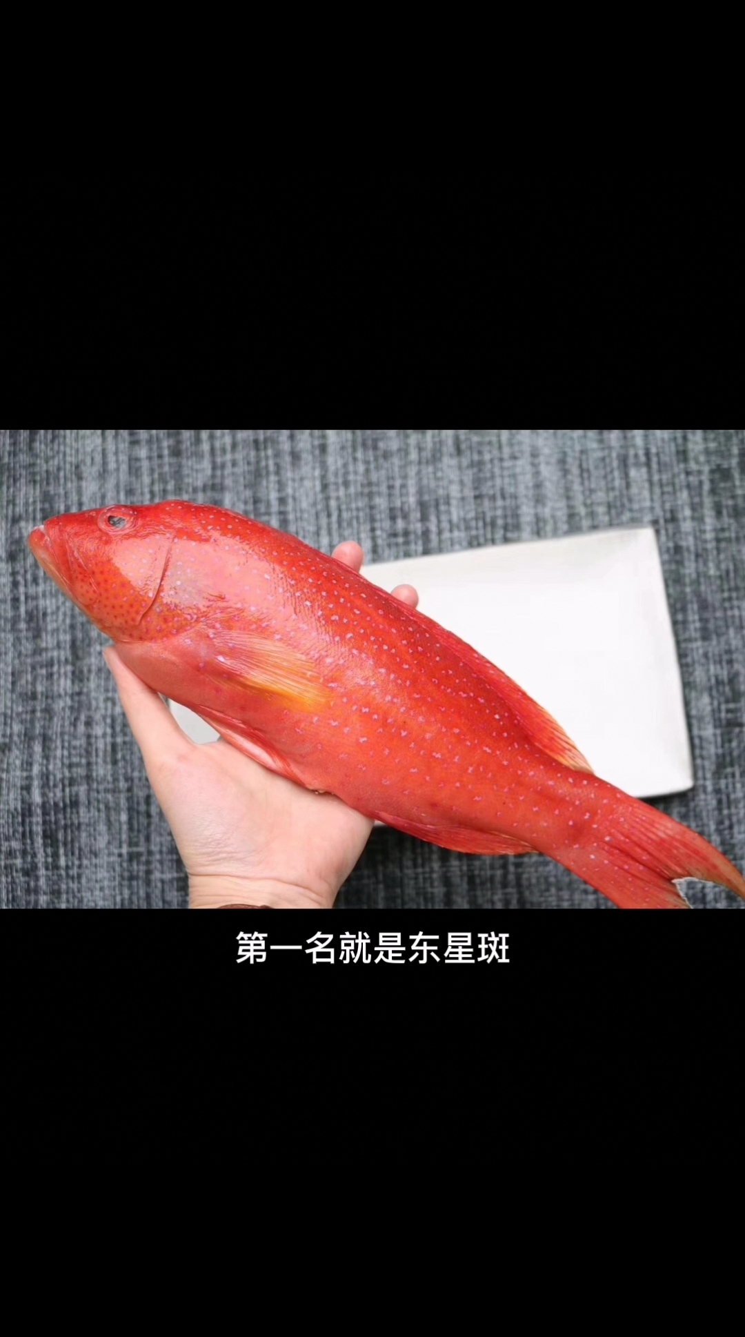 市场上卖的红色海鱼叫什么