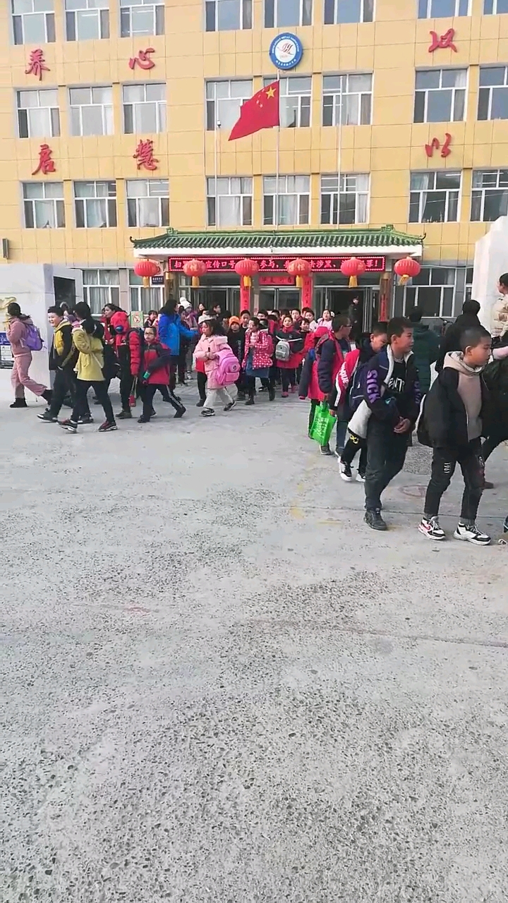 鸡飞狗跳的日子开始