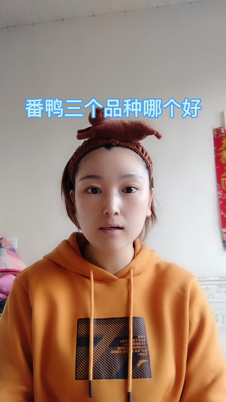 番鸭三个品种哪个好