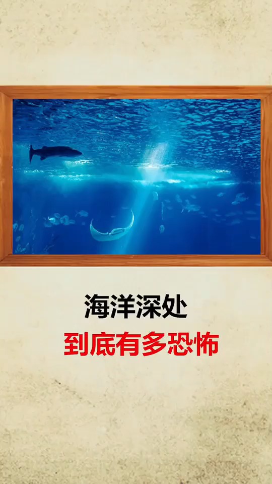 海洋深处到底有多恐怖,你想去看看吗