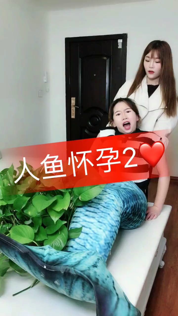 怀孕的美人鱼
