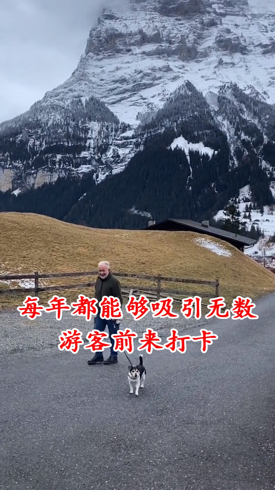 全世界最大的兔子,原计划2025年寿终正寝,如今面临巨大考验