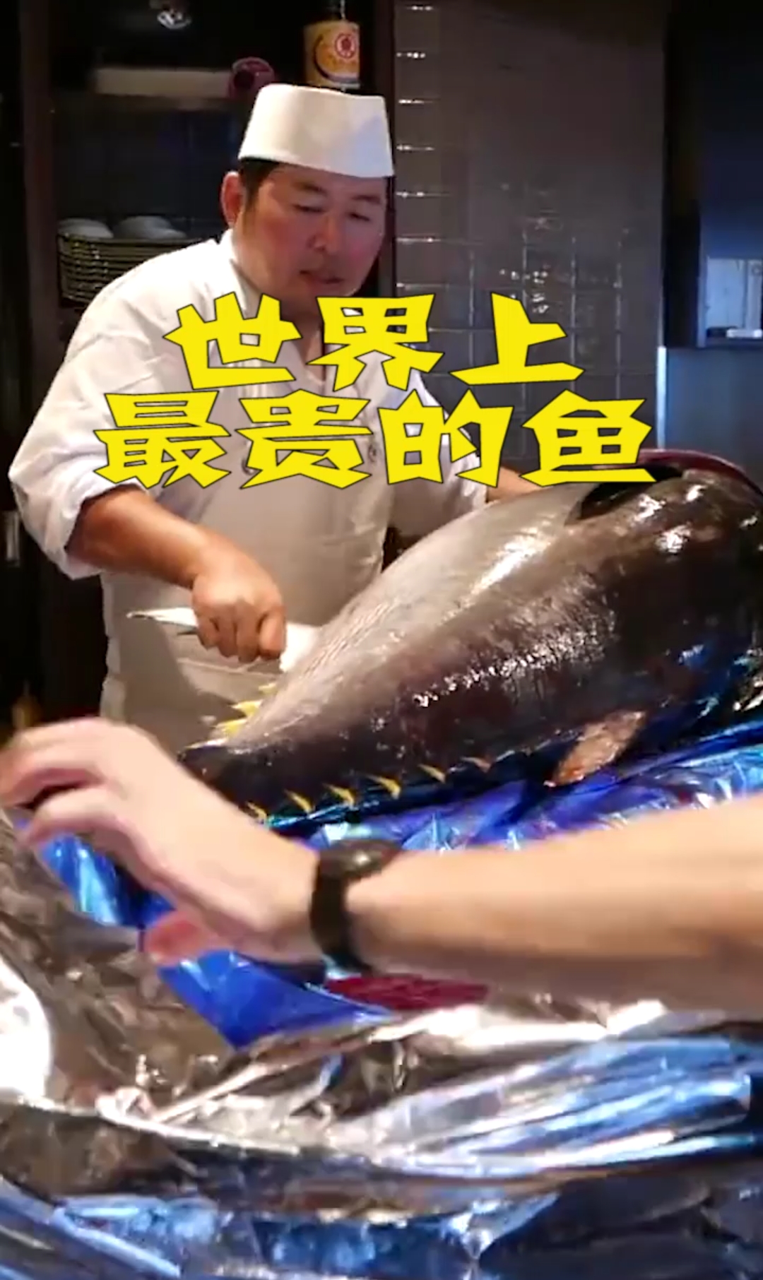 世界上最贵的鱼