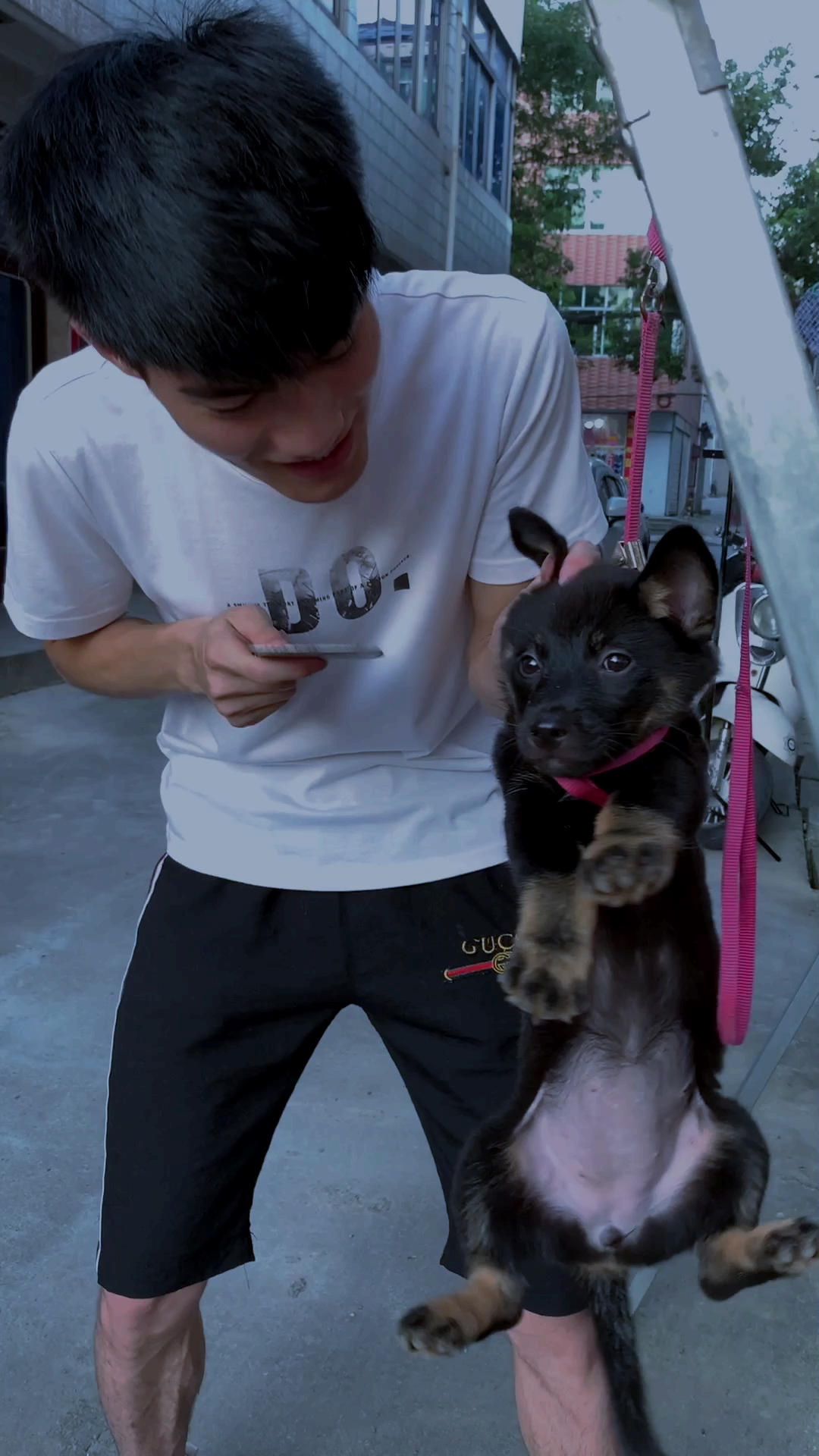 今天晚上有狗肉吃了