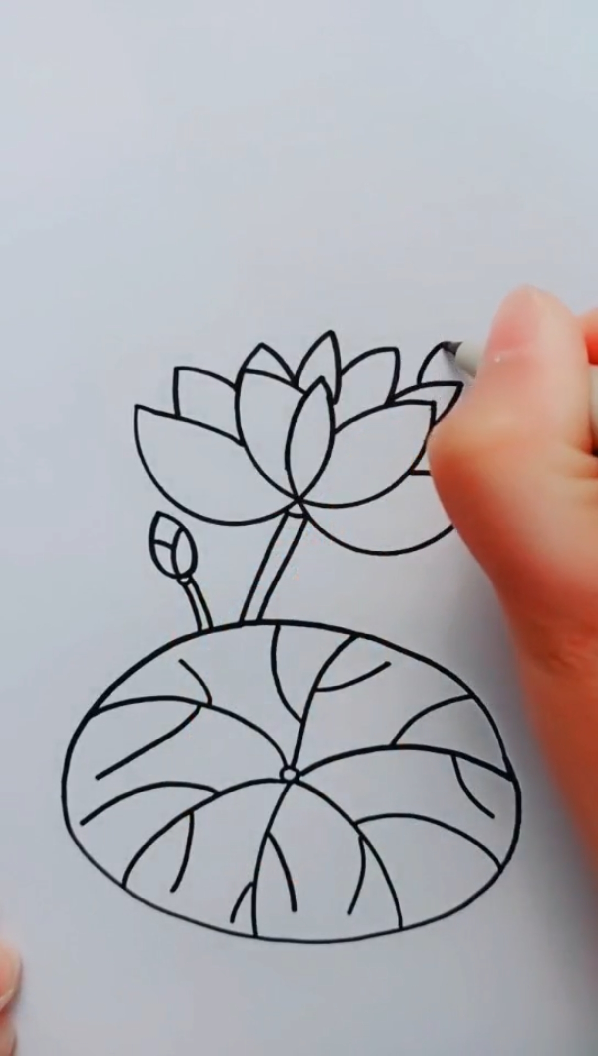 #简笔画#简笔画荷花