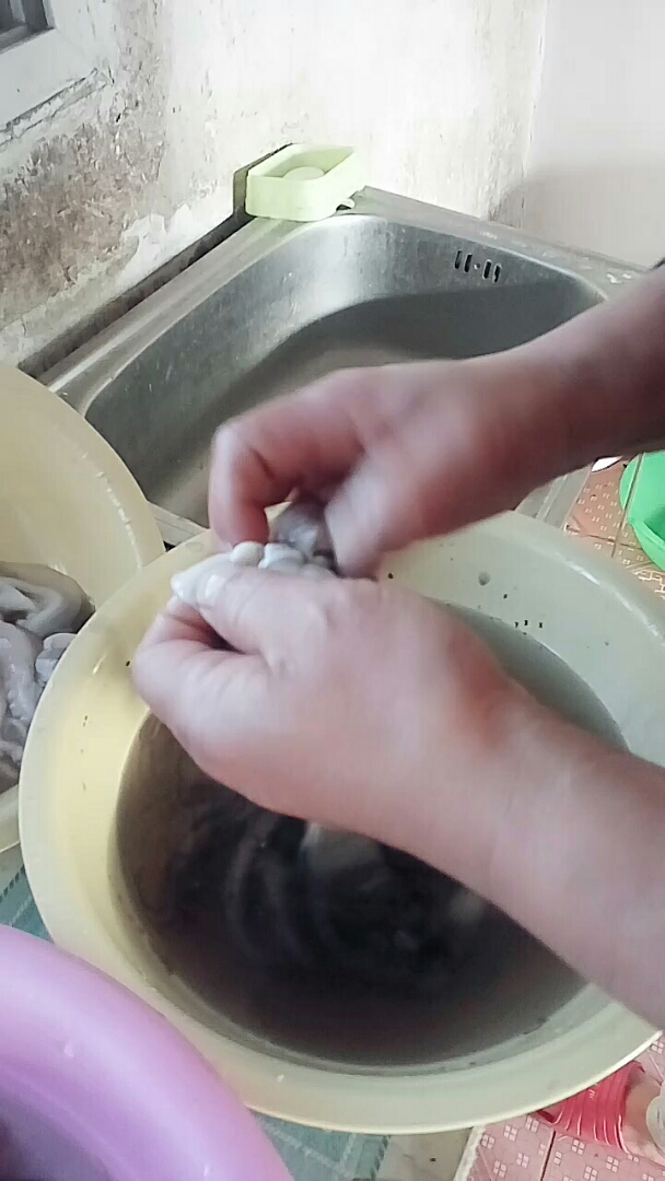 清里八爪鱼的内脏