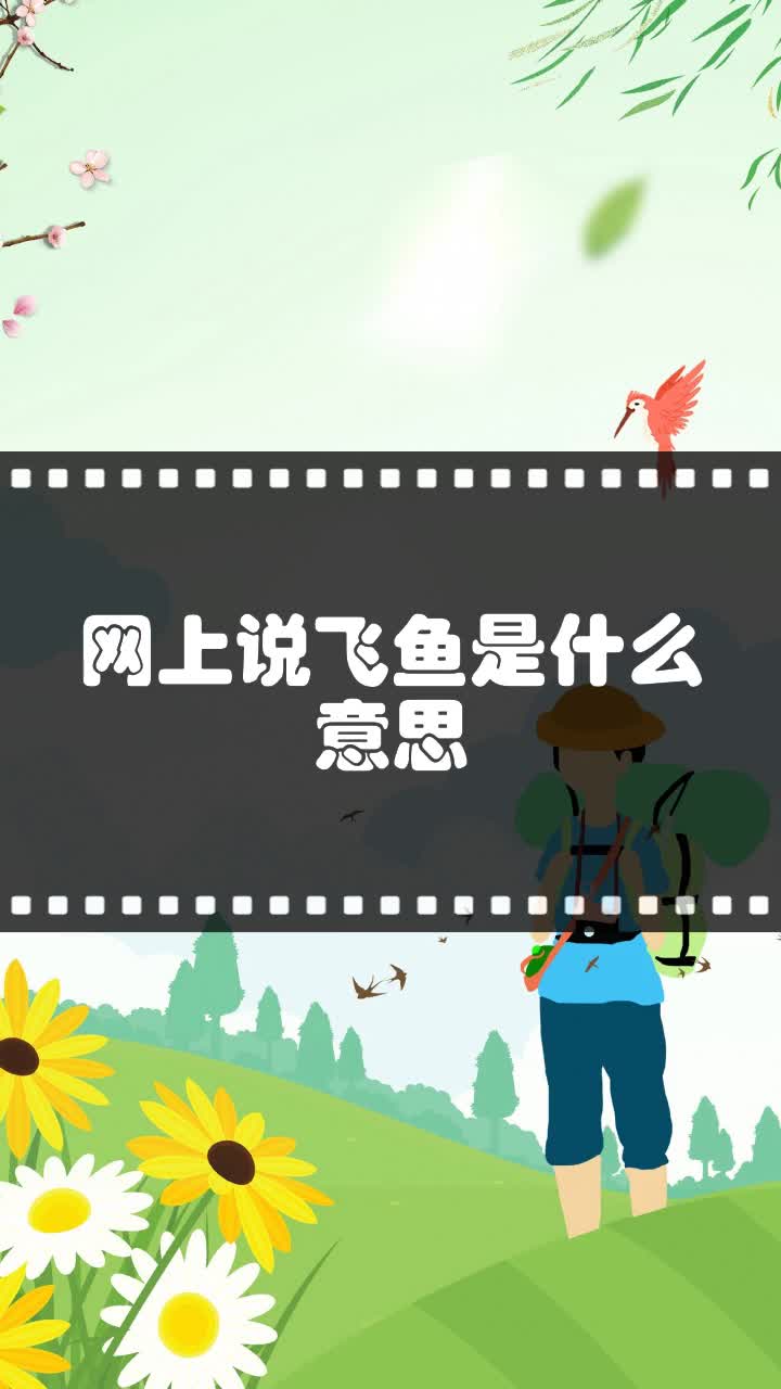 网上说飞鱼是什么意思