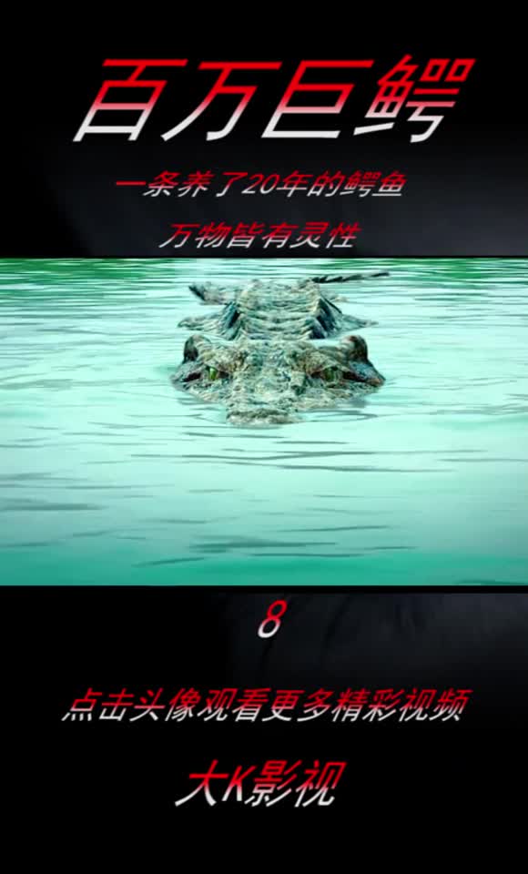 8养了二十年的鳄鱼,一切万物皆有灵性
