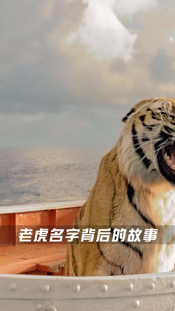 原来老虎名字背后的历史故事才是核心#少年派的奇幻漂流#李安