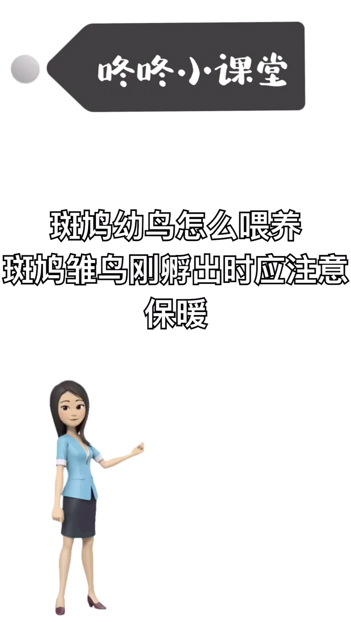 斑鸠幼鸟怎么喂养