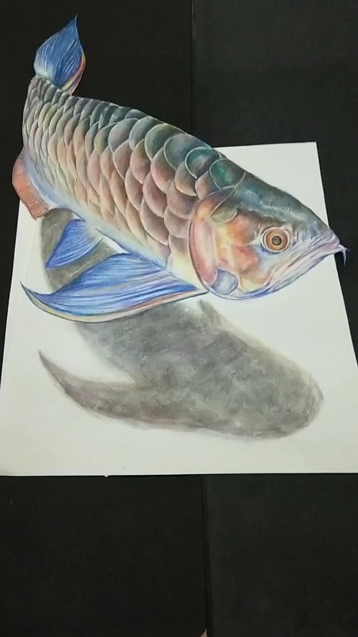 会飞的鱼哦,希望大家喜欢