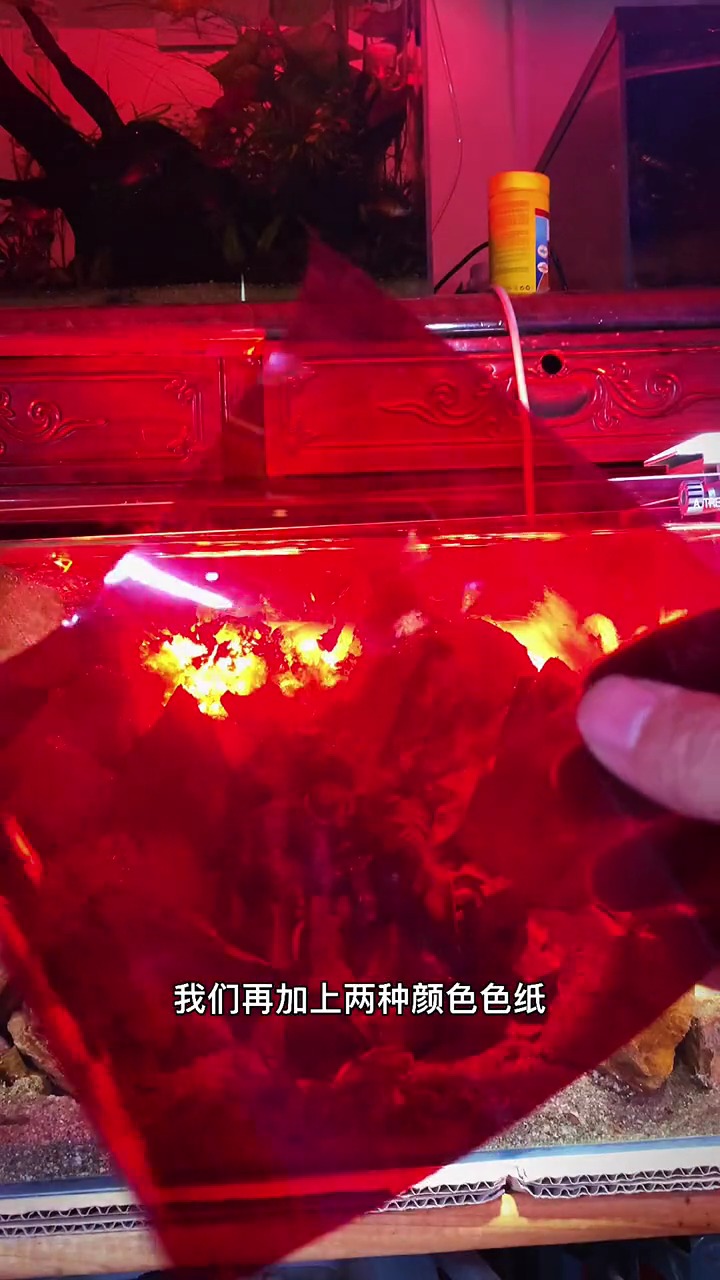 鱼缸布景
