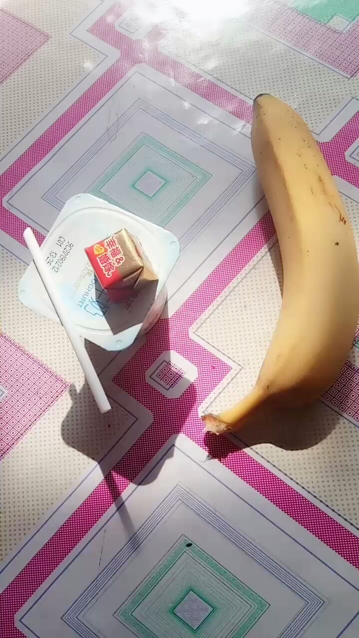 我儿子的午餐
