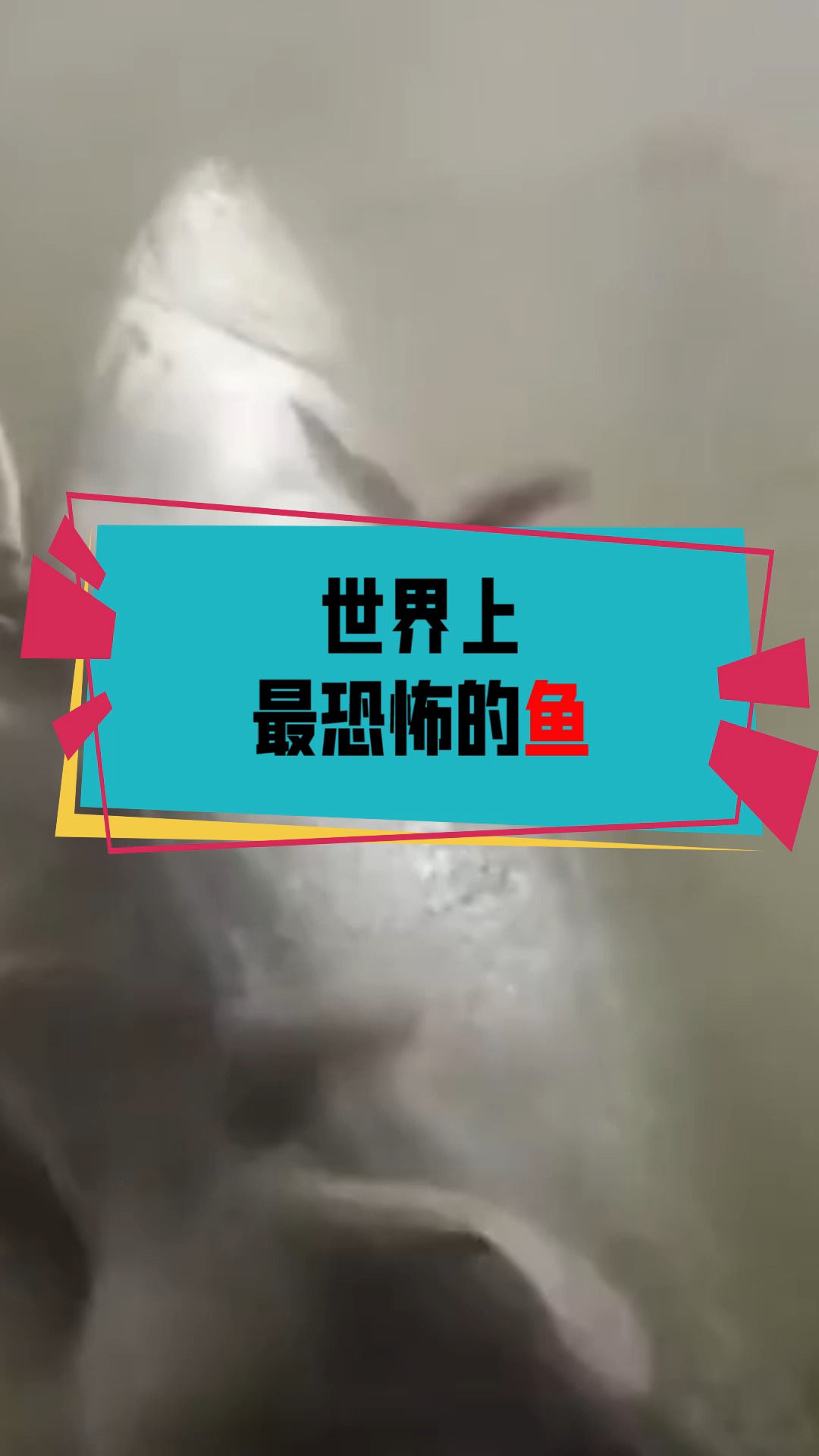 #奇闻趣事抢先看#世界上最恐怖的鱼