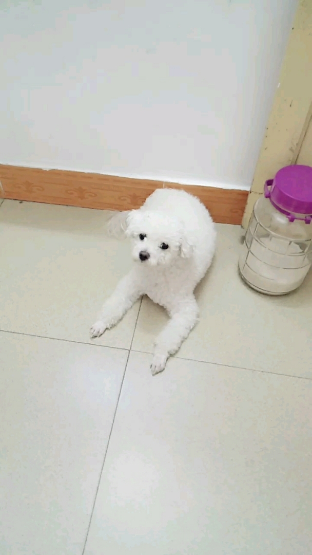 可爱的小宝贝
