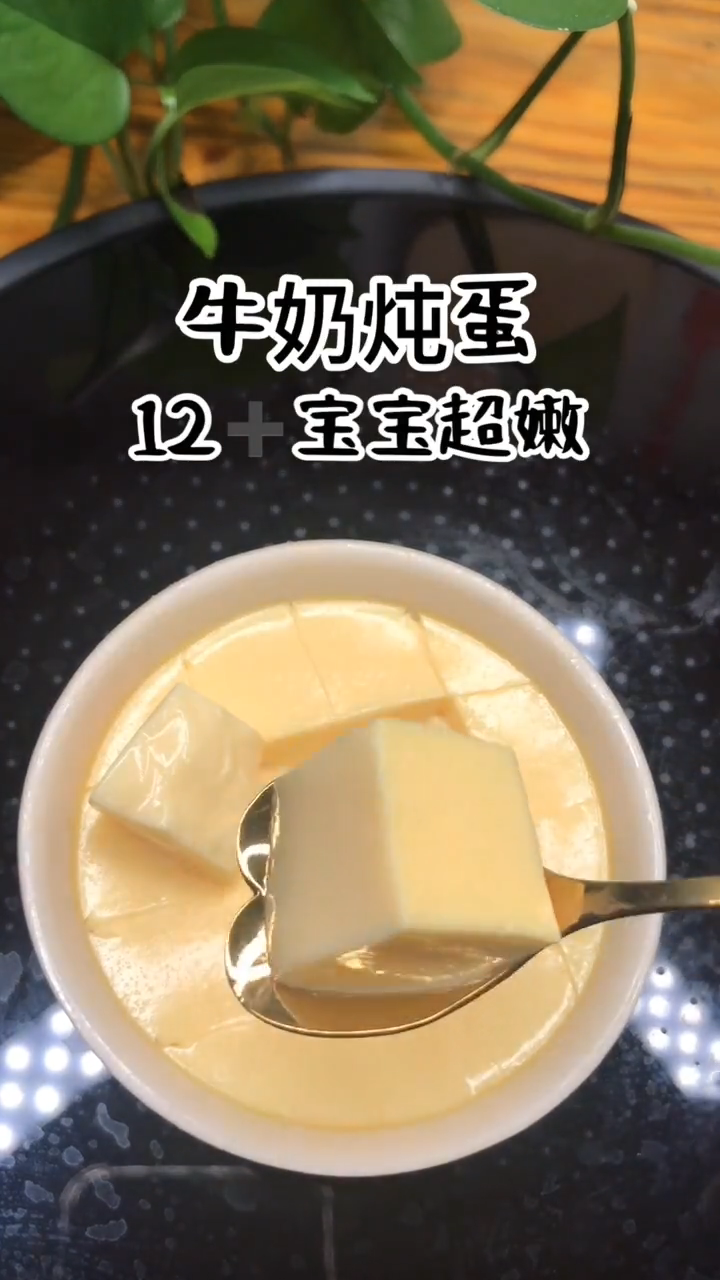 鲜奶炖蛋怎么做   