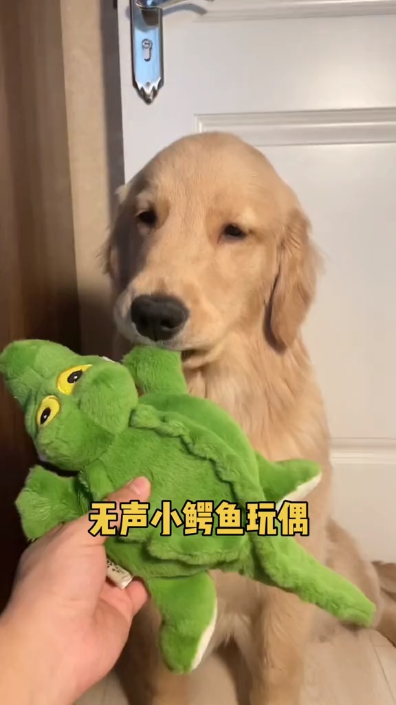 安静,也是一种态度