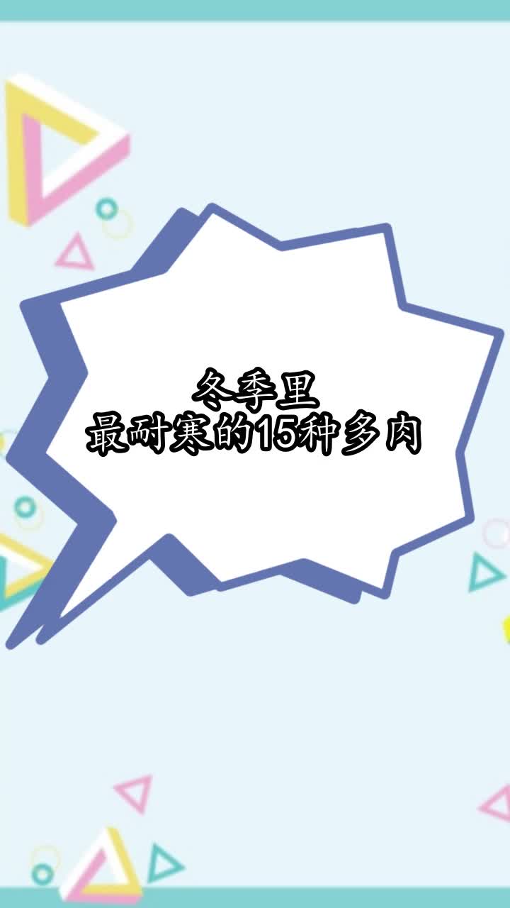 冬季里最耐寒的15种多肉,你学会了吗
