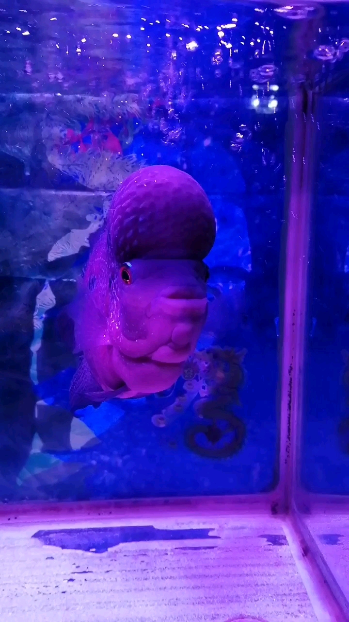 分享视频