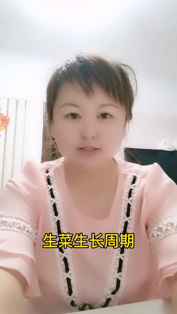 生菜生长周期     