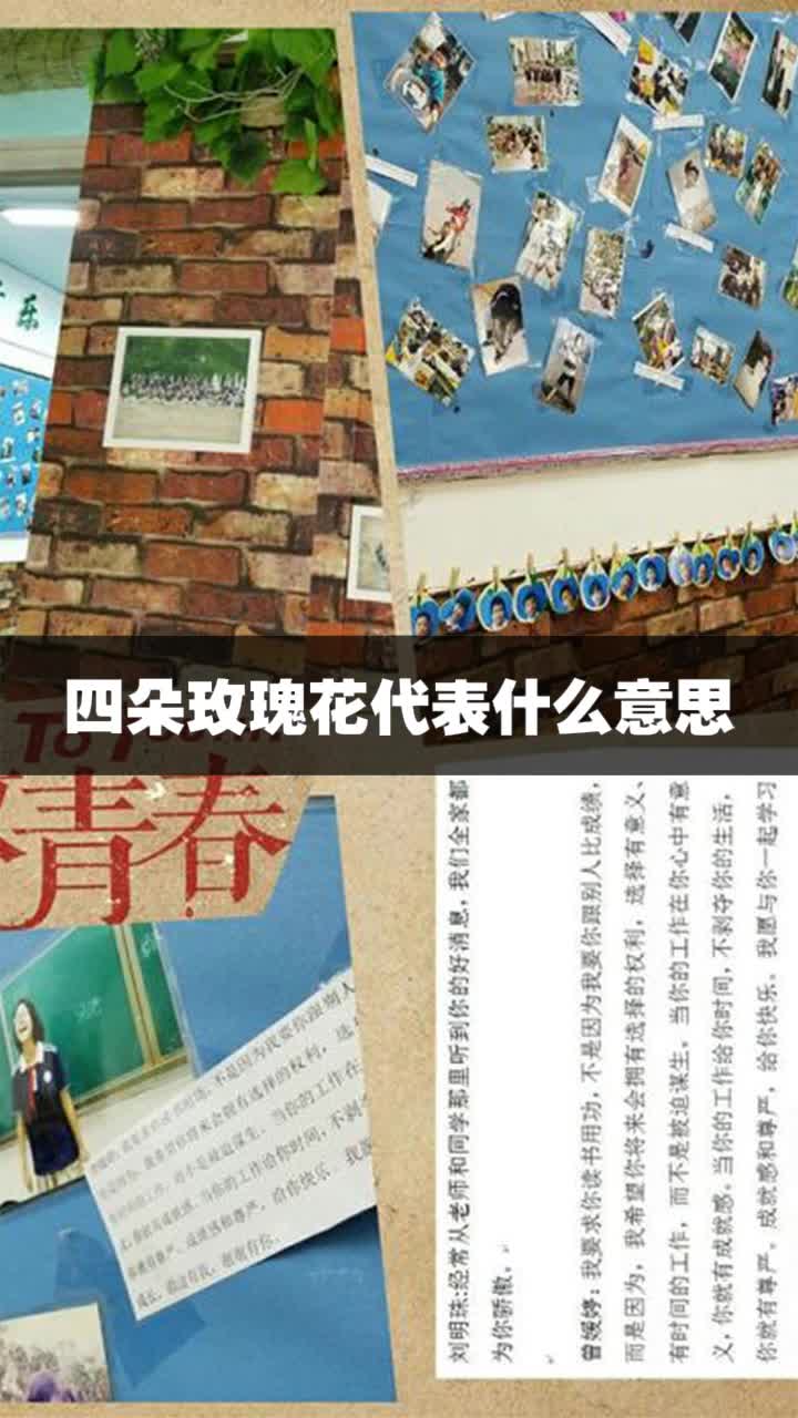 四朵玫瑰花代表什么意思