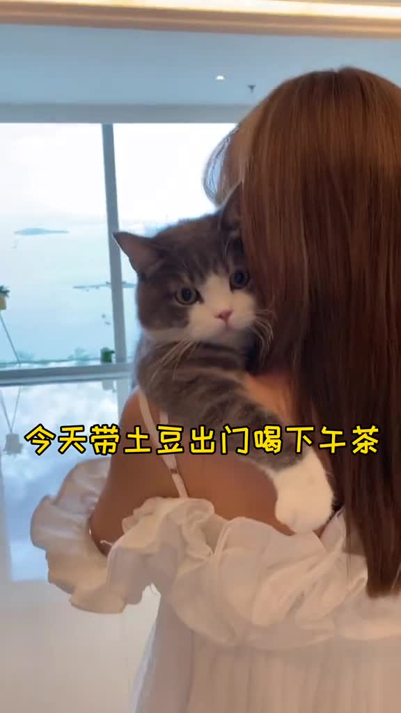 那么到底是我的下午茶还是土豆的下午茶哈哈哈
