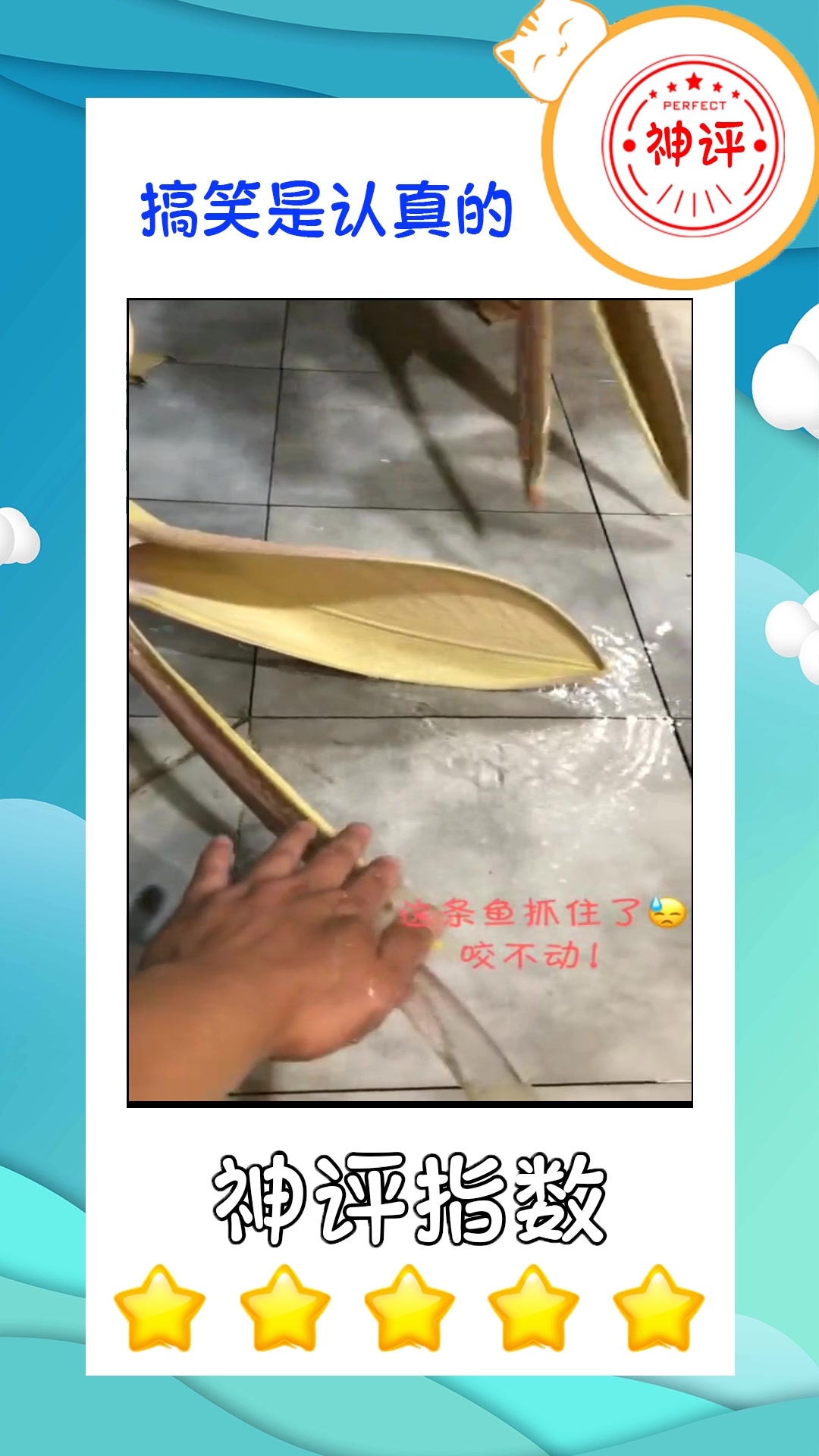 #我要上热门#大嘴鸟吃鱼都是吞,看他嘴的咬合力,就知道原因了!