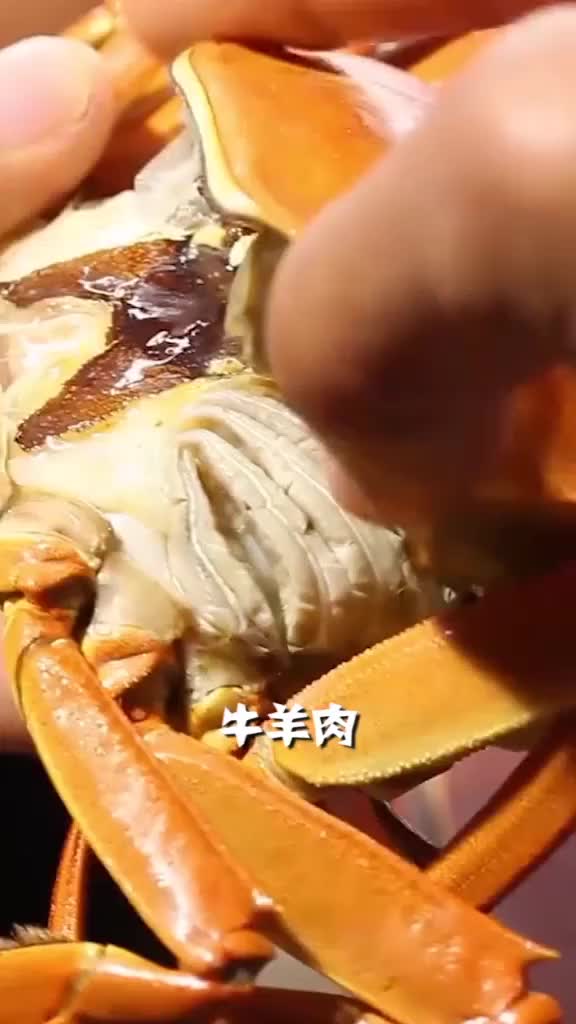 牛羊肉