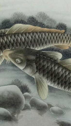 #学画工笔画!#工笔画大鲤鱼哈哈