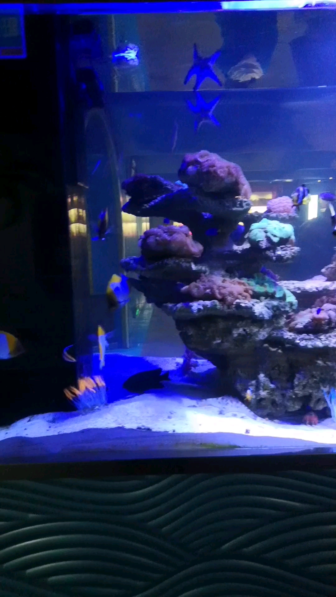 海底世界