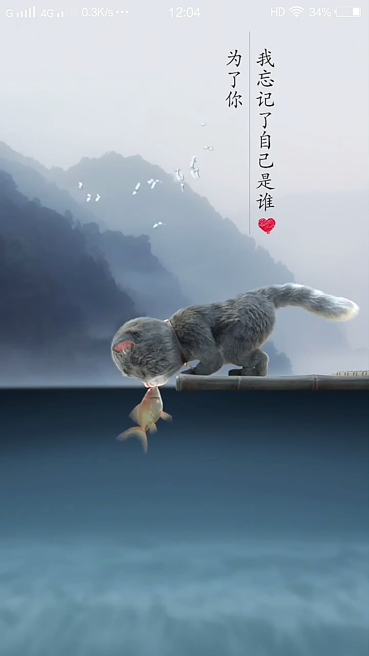 猫鱼之恋,,跨越种族