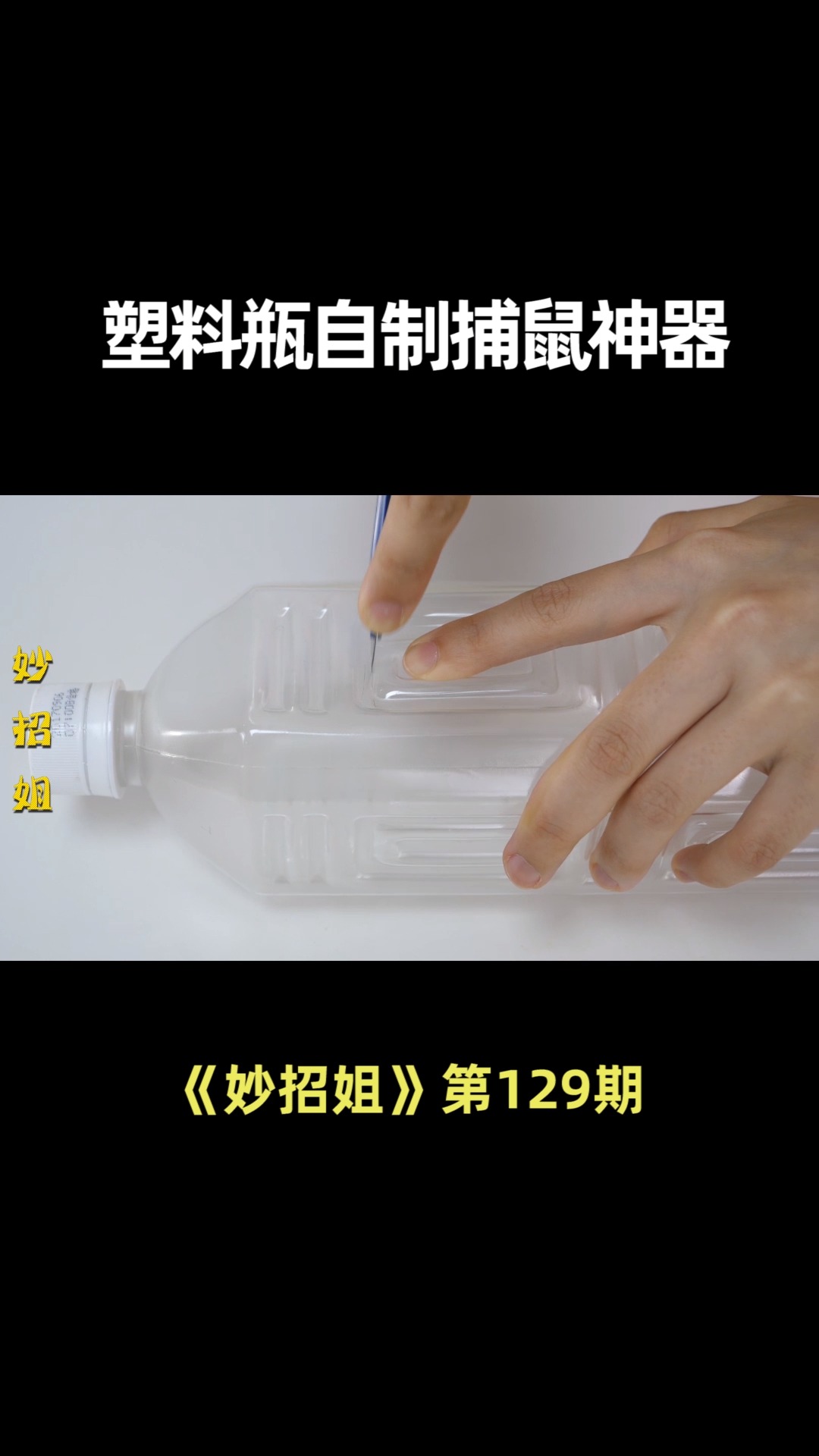 老鼠最怕它,把它放墙角,老鼠来一只逮一只,家里再也没有老鼠了