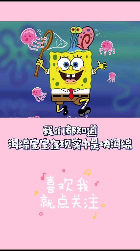 #海绵宝宝派大星#你知道痞老板在现实中是什么吗?