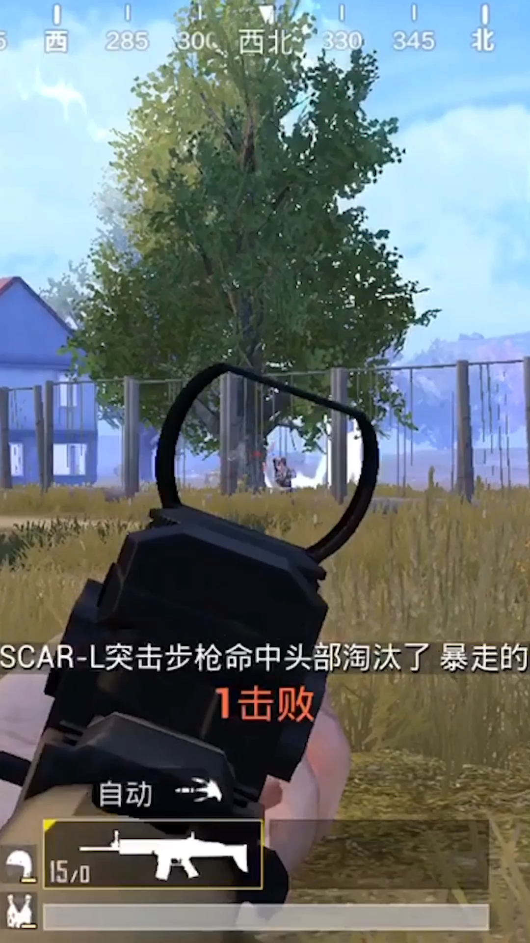 M416蛮配我这样的玩家