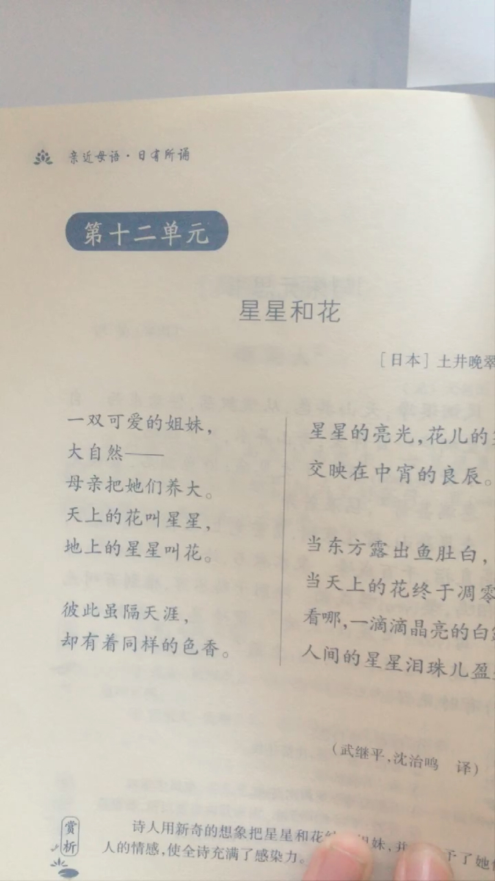 星星和花【一】