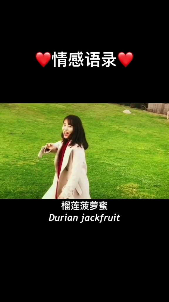 情感语录