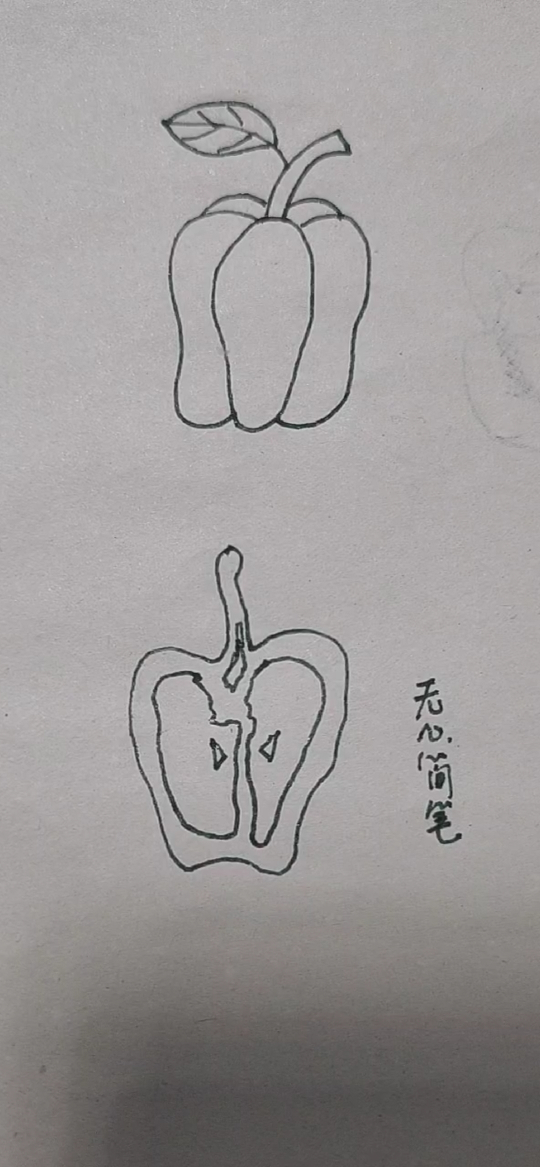 #无心之简笔画#很多人不喜欢吃的青菜