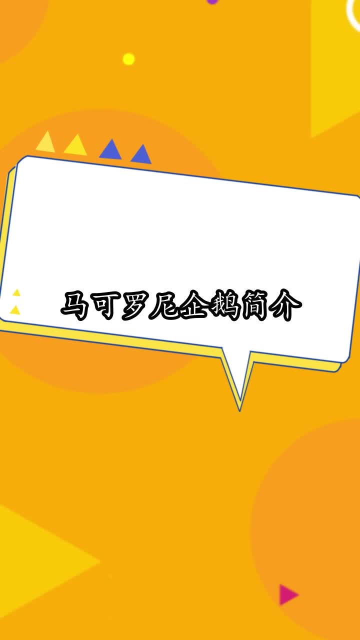 马可罗尼企鹅简介,你掌握了吗