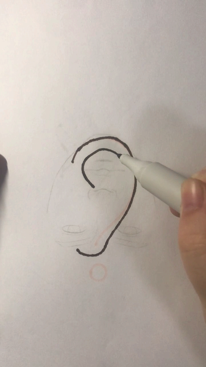 很多初学者对耳朵的内部结构不了解!按照我步骤画耳朵内部结构是不是很简单?