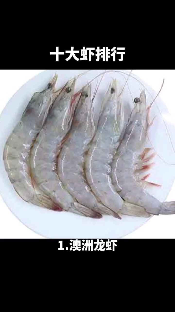 十大虾排行???